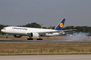 Lufthansa Cargo Boeing 777-FBT (D-ALFE) at  Frankfurt am Main, Germany