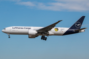 Lufthansa Cargo Boeing 777-FBT (D-ALFG) at  Frankfurt am Main, Germany