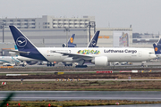 Lufthansa Cargo Boeing 777-FBT (D-ALFI) at  Frankfurt am Main, Germany