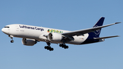 Lufthansa Cargo Boeing 777-FBT (D-ALFI) at  Frankfurt am Main, Germany