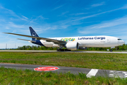 Lufthansa Cargo Boeing 777-FBT (D-ALFI) at  Frankfurt am Main, Germany