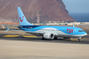 TUIfly Boeing 737-8 MAX (D-AMAA) at  Tenerife Sur - Reina Sofia, Spain