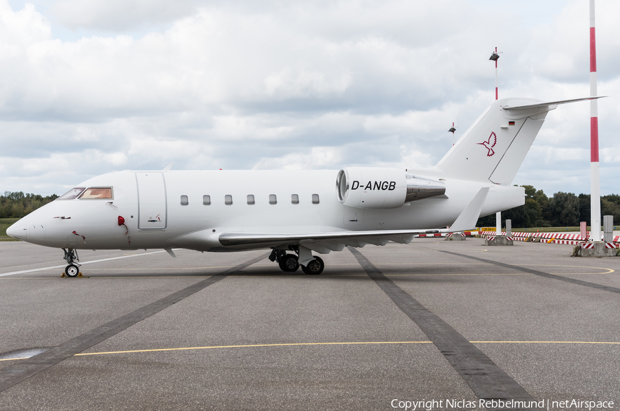 MHS Aviation Bombardier CL-600-2B16 Challenger 604 (D-ANGB) | Photo 266530