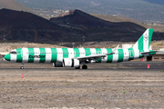 Condor Airbus A321-271NX (D-ANMY) at  Tenerife Sur - Reina Sofia, Spain