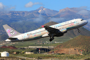 Sundair Airbus A320-214 (D-ANNA) at  Tenerife Sur - Reina Sofia, Spain