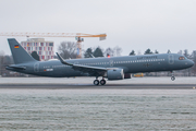 German Air Force (Luftwaffe) Airbus A321-251NX (D-APLA) at  Hamburg - Fuhlsbuettel (Helmut Schmidt), Germany