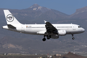 Sundair Airbus A319-112 (D-ASSB) at  Tenerife Sur - Reina Sofia, Spain