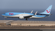 TUI Airlines Germany Boeing 737-8BK (D-ASUN) at  Tenerife Sur - Reina Sofia, Spain