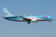 TUIfly Boeing 737-8BK (D-ASUN) at  Frankfurt am Main, Germany