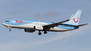 TUIfly Boeing 737-8BK (D-ASUN) at  Frankfurt am Main, Germany