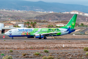 SunExpress Germany Boeing 737-8Z9 (D-ASXA) at  Tenerife Sur - Reina Sofia, Spain