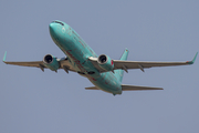 SunExpress Germany Boeing 737-8HX (D-ASXO) at  Gran Canaria, Spain