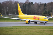 TUIfly Boeing 737-8K5 (D-ATUB) at  Hamburg - Fuhlsbuettel (Helmut Schmidt), Germany