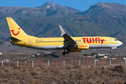 TUIfly Boeing 737-8K5 (D-ATUB) at  Tenerife Sur - Reina Sofia, Spain