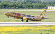 TUIfly Boeing 737-8K5 (D-ATUD) at  Dusseldorf - International, Germany