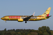 TUIfly Boeing 737-8K5 (D-ATUD) at  Hamburg - Fuhlsbuettel (Helmut Schmidt), Germany