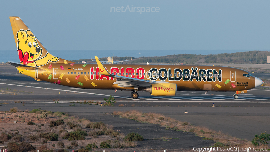 TUIfly (D-ATUD) | Photo 560195