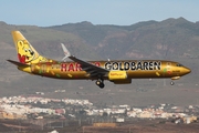 TUIfly (D-ATUD) at  Gran Canaria, Spain