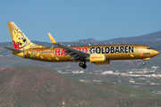 TUIfly Boeing 737-8K5 (D-ATUD) at  Tenerife Sur - Reina Sofia, Spain