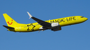 TUIfly Boeing 737-8K5 (D-ATUG) at  Frankfurt am Main, Germany