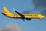 TUIfly Boeing 737-8K5 (D-ATUG) at  Hamburg - Fuhlsbuettel (Helmut Schmidt), Germany