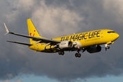 TUIfly Boeing 737-8K5 (D-ATUG) at  Hamburg - Fuhlsbuettel (Helmut Schmidt), Germany