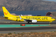 TUIfly Boeing 737-8K5 (D-ATUG) at  Gran Canaria, Spain