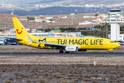 TUIfly Boeing 737-8K5 (D-ATUG) at  Tenerife Sur - Reina Sofia, Spain