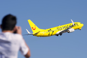 TUIfly Boeing 737-8K5 (D-ATUG) at  Tenerife Sur - Reina Sofia, Spain