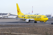 TUIfly Boeing 737-8K5 (D-ATUG) at  Tenerife Sur - Reina Sofia, Spain