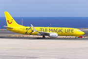 TUIfly Boeing 737-8K5 (D-ATUG) at  Tenerife Sur - Reina Sofia, Spain