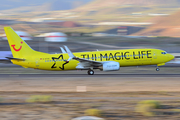 TUIfly Boeing 737-8K5 (D-ATUG) at  Tenerife Sur - Reina Sofia, Spain