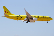 TUIfly Boeing 737-8K5 (D-ATUG) at  Tenerife Sur - Reina Sofia, Spain