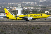 TUIfly Boeing 737-8K5 (D-ATUG) at  Tenerife Sur - Reina Sofia, Spain