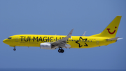 TUIfly Boeing 737-8K5 (D-ATUG) at  Tenerife Sur - Reina Sofia, Spain