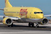 TUIfly Boeing 737-8K5 (D-ATUH) at  Tenerife Sur - Reina Sofia, Spain