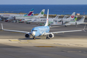 TUIfly Boeing 737-8K5 (D-ATUI) at  Gran Canaria, Spain