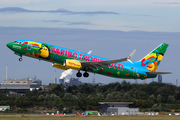 TUIfly Boeing 737-8K5 (D-ATUJ) at  Dusseldorf - International, Germany