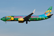 TUIfly Boeing 737-8K5 (D-ATUJ) at  Frankfurt am Main, Germany