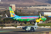 TUIfly Boeing 737-8K5 (D-ATUJ) at  Gran Canaria, Spain