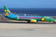 TUIfly Boeing 737-8K5 (D-ATUJ) at  Tenerife Sur - Reina Sofia, Spain