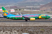 TUIfly Boeing 737-8K5 (D-ATUJ) at  Tenerife Sur - Reina Sofia, Spain