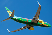 TUIfly Boeing 737-8K5 (D-ATUJ) at  Tenerife Sur - Reina Sofia, Spain