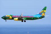 TUIfly Boeing 737-8K5 (D-ATUJ) at  Tenerife Sur - Reina Sofia, Spain