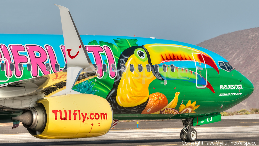 TUIfly Boeing 737-8K5 (D-ATUJ) | Photo 75880