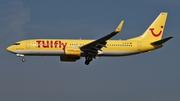 TUIfly Boeing 737-8K5 (D-ATUK) at  Dusseldorf - International, Germany