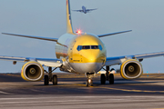 TUIfly Boeing 737-8K5 (D-ATUL) at  Tenerife Sur - Reina Sofia, Spain