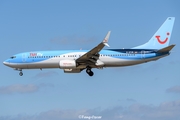 TUIfly Boeing 737-8K5 (D-ATUN) at  Frankfurt am Main, Germany