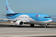 TUIfly Boeing 737-8K5 (D-ATUN) at  Tenerife Sur - Reina Sofia, Spain