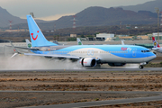 TUIfly Boeing 737-8K5 (D-ATUN) at  Tenerife Sur - Reina Sofia, Spain